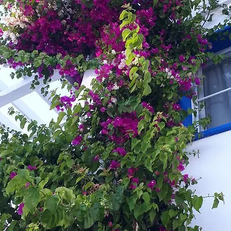 Lägenhetshotell Paradise