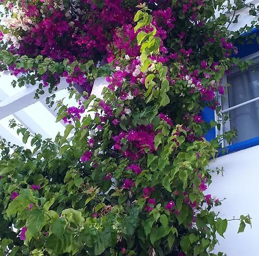 מלון דירות Paradise