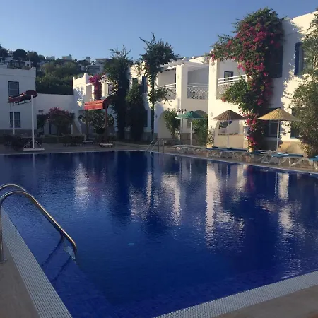 Paradise 3* Битез