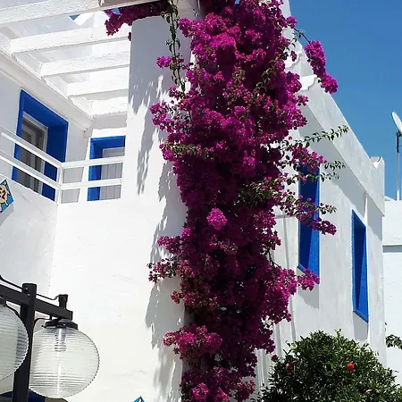 Apartmanhotel Paradise Bitez