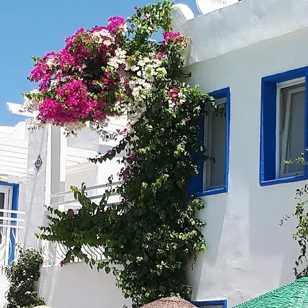 Apartmanhotel Paradise Bitez