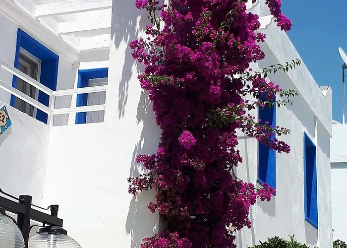 Aparthotel Paradise Bitez